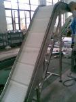 Hot Selling Plastic Mesh Belt Lifting Conveyor Food Transportation