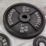 Steel Iron Free Weights Gym Fitness Exercise 5LB 10LB 25LB 35LB 45LB