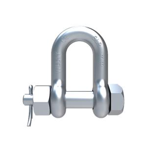 Wholesale SLR970-S6 BOLT TYPE CHAIN SHACKLE from china suppliers