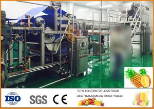 Wholesale Juice rate 45% Complete Automatic Pineapple Juice Production Line from china suppliers