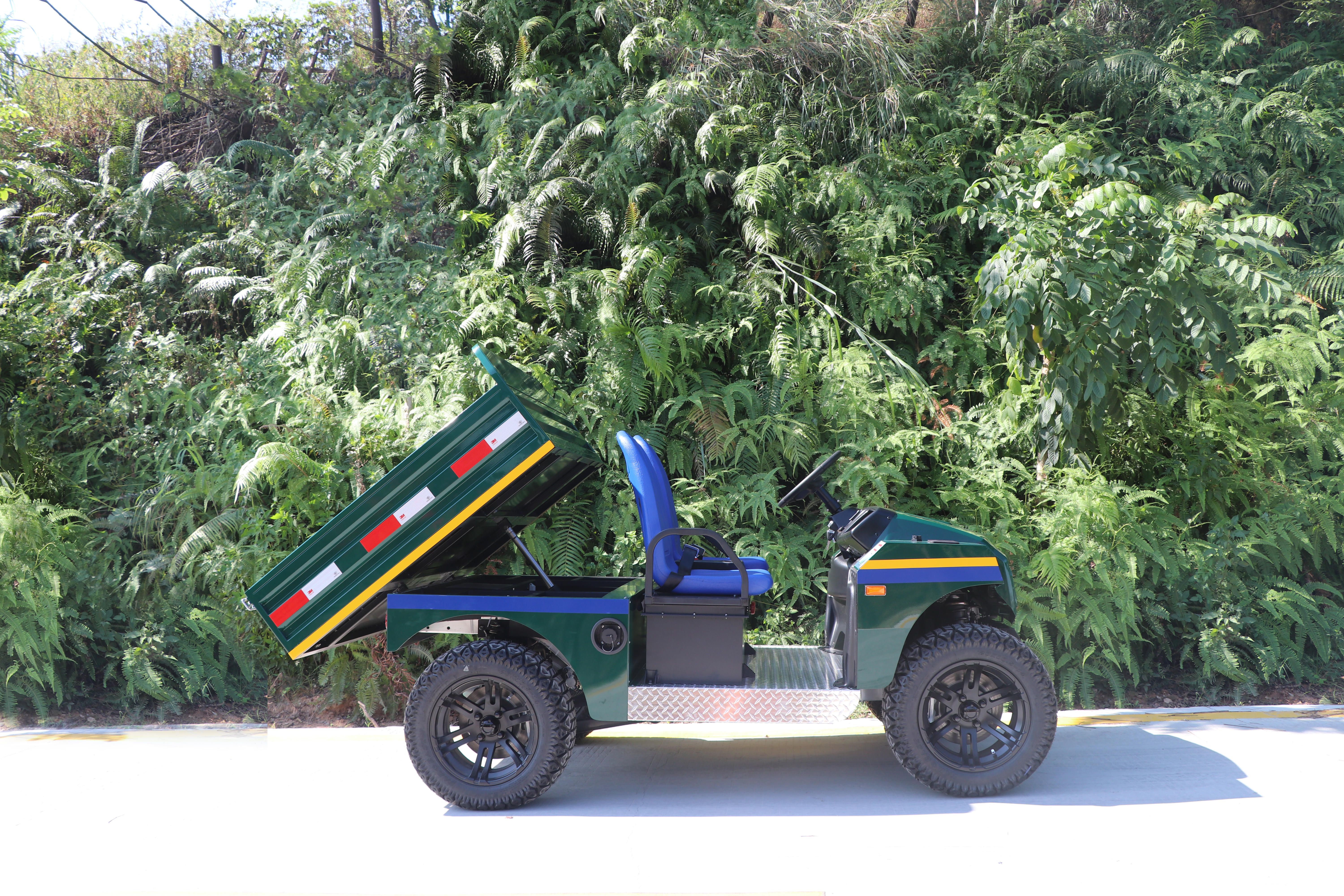 Whosale Excar New Design Model Electric Mini Buggy Car Golf Car