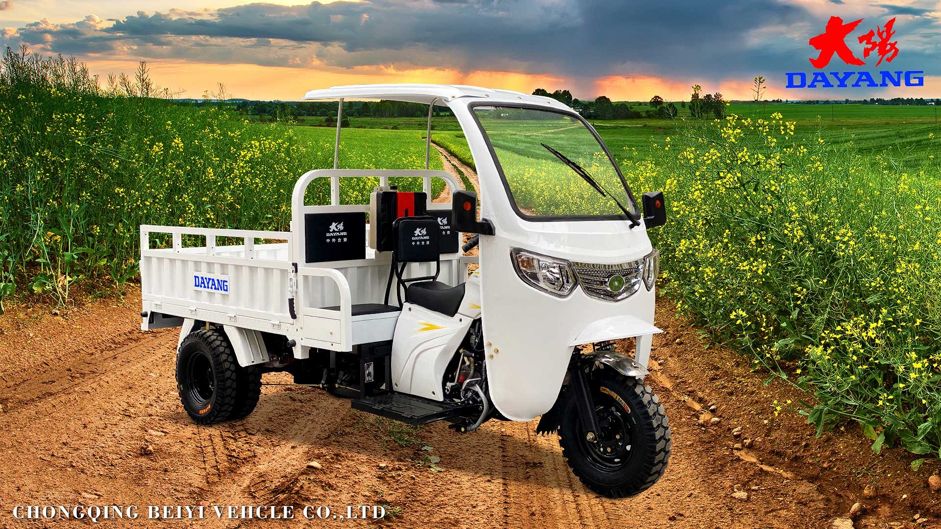 Standard Size 3 Wheel Gasoline 200cc/250cc/300cc Motorcycle Engine Cabin Cargo Tricycle