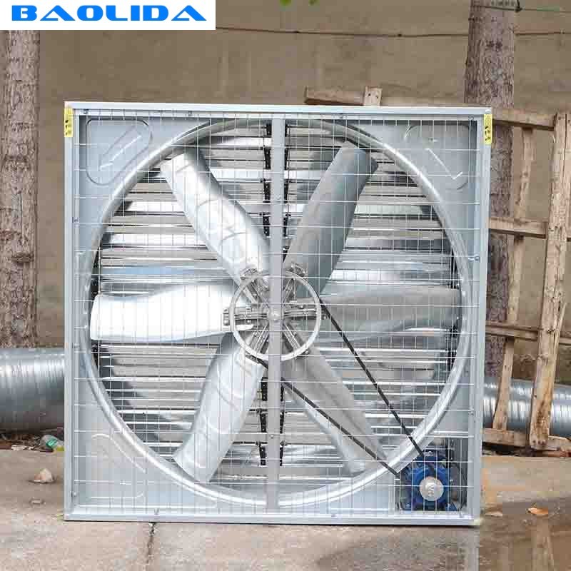 Steel Frame Tunnel Plastic Greenhouse / PE Film Plastic Tomato Greenhouse