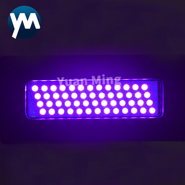 60x18mm 150W High Power UV LED Lamp for 365nm 395nm Water Cooling