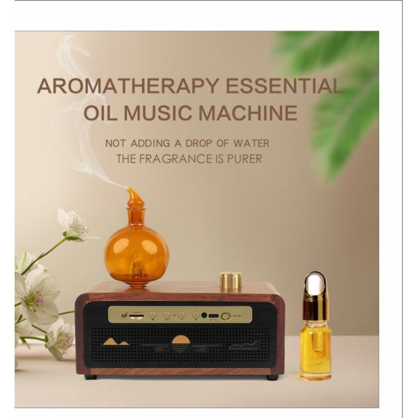 100cbm Coverage Luxurious Modern Home Aroma Diffuser With Bluetooth Audio
