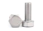 Duplex Stainless Steel 2205 Hexagonal Head Bolts for Marine Chemical Oil and