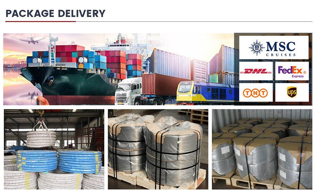 201 202 303 304 310 316 Stainless Steel Spring Wire 55crsia 60si2mna 65mn Alloy Spring Steel Wire Rod Factory