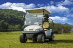 Popular 2 Seater Golf Cart , Street Legal Electric Vehicles Passenger Mover