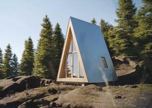 Wholesale Prefab Light Steel Hotel Unit Space Frame Tiny Building Wooden Cabins For Houliday from china suppliers