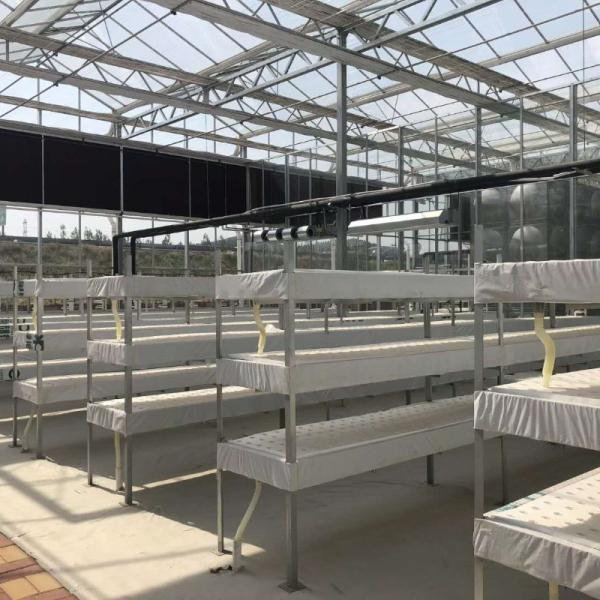 Water Production Agricultural Greenhouse Manufacturer Growing Hydroponic System