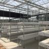 Buy cheap Water Production Agricultural Greenhouse Manufacturer Growing Hydroponic System from wholesalers