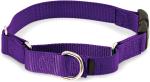 Durable Soft Nylon Buckle Dog Collars , Purple Green Nylon Dog Collar Easy On