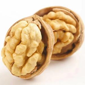 Wholesale New Crop Organic Bulk Wholesale Paper Walnut China Top Nuts and Dried Fruits Raw Paper Dried Garcinia Fruit 3% Max 5% from china suppliers