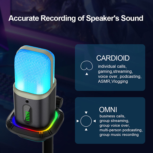 96KHZ 192KHZ USB Condenser Microphone With Shockproof Stand