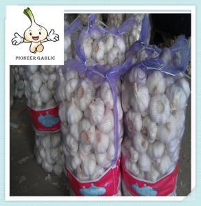 Wholesale New Crop Chinese Garlic Fresh Garlic Normal White garlic from china suppliers