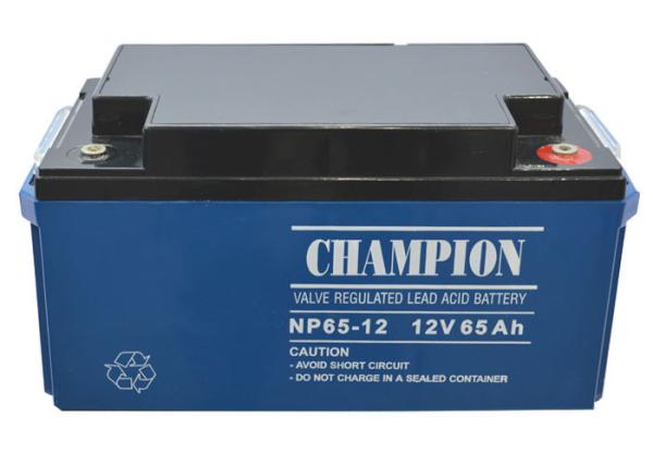 China Champion Battery 12V65Ah NP65-12 Lead Acid AGM Battery VRLA Battery, SLA