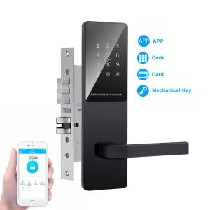 Wholesale Black Color Touch Keypad Apartment Smart Door Lock for Front Door from china suppliers