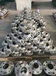 Petroleum 48inches Alloy Steel WN Flange DIN BS ASTM Standard
