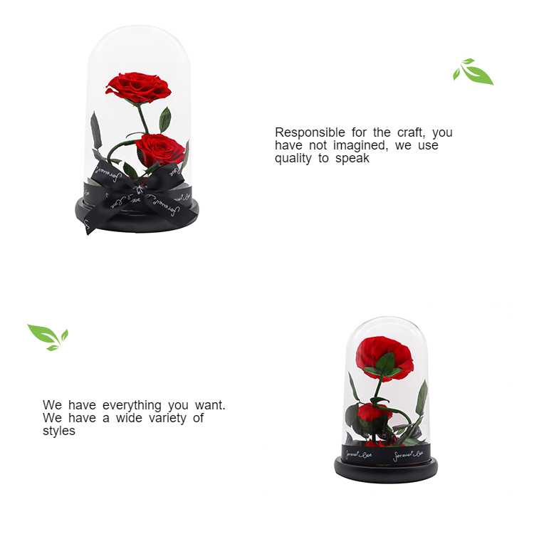 Beauty And The Beast Preserved Rose Glass Dome For Christmas Gift