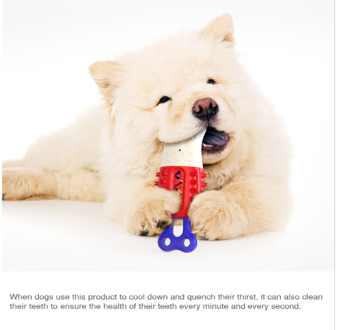 Ice Lolly Dog Chew Toy Brushes Teeth Floatable TPR ABS Material