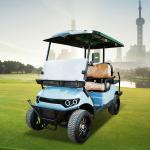 2 4 6 8 Person 48v Electric Lifted Street Legal Golf Carts Off Road Buggy