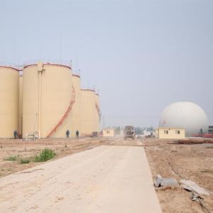 Wholesale Free Standing Dual Membrane Biogas Balloon from china suppliers