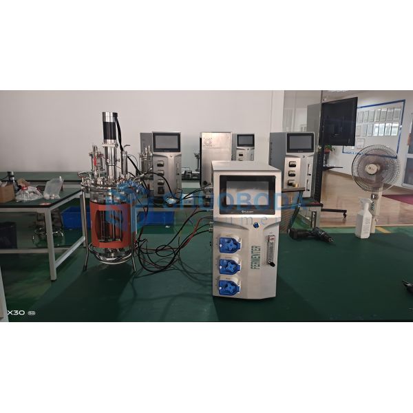 Laboratory Small Classic Glass Bioreactor Fermenter 1L - 15L FMT-L Series