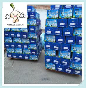Wholesale Wholesale 2016 Harvest Normal White garlic Price Shandong Super White Garlic Price 5.0CM from china suppliers