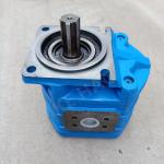 CBGJ Single Pump Square cover Spline Blue Compact Original Gear Pump For