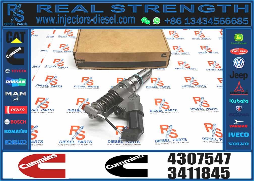 4307547 4061851 Ism11 Qsm11 Engine Fuel Injector For Excavator Diesel Engine Parts For Sale