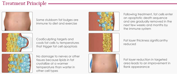 best machine aesthetic cool shape cryolipolysis slimming machine for sale