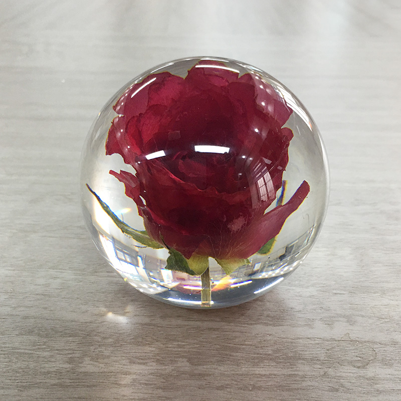 Dried Flower Paperweight Ball 80mm Nature Style Logo Customized