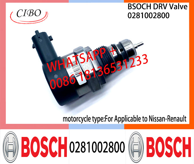 BOSCH DRV Valve 0281002800 Control Valve 0281002800 For Applicable to Nissan-REN-AULTt