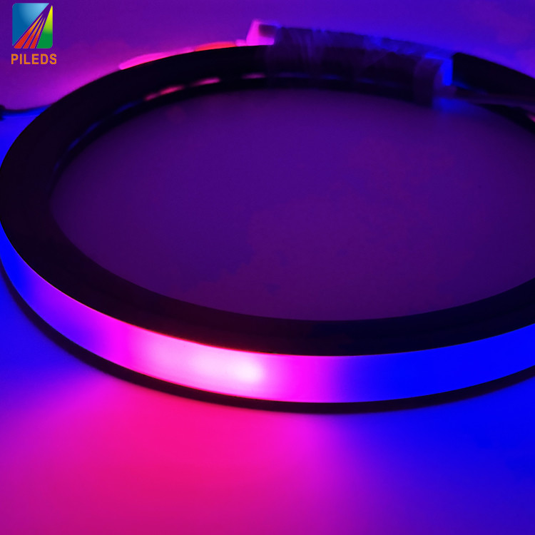 Unique Black Silicone LED Neon Strip 20*20mm SPI-RGB Dotless Waterproof IP67 LED Neon Flex Rope Light for Club Landscape