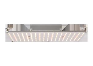 Wholesale 730nm 240x300x48mm Quantum Board Led Grow Lights from china suppliers