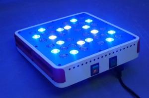 Wholesale Excellent 2016 Apollo Design 40x5w led grow light Powerful 200w Grow light for Hydroponics from china suppliers