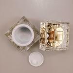30g 50g Acrylic Gold Cream Jar for Skincare Cream Plastic Jar Eco-friendly and