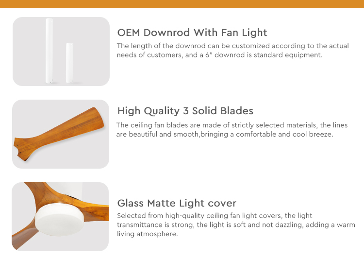 LED Ceiling Fan Decorative Lighting with Electric DC Motor and Remote Control Function