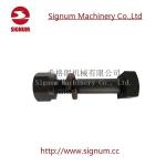 Clip Bolt for Rail Fishplate, High Quality Curve Spear Tunnel Bolt for Concrete