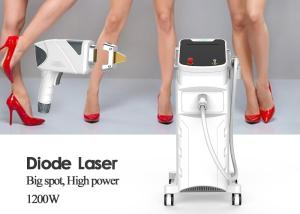 Wholesale Painfree Portable 755nm 808nm 1064nm Diode Laser 1 - 10Hz Pulse Frequency from china suppliers