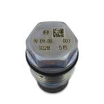 612630080306 Heavy Truck WEICHAI Bo-sch Pressure Relief Valve Metal Standard