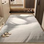 2024 New Door Entry Light Luxury High Sense Floor Carpet Rug