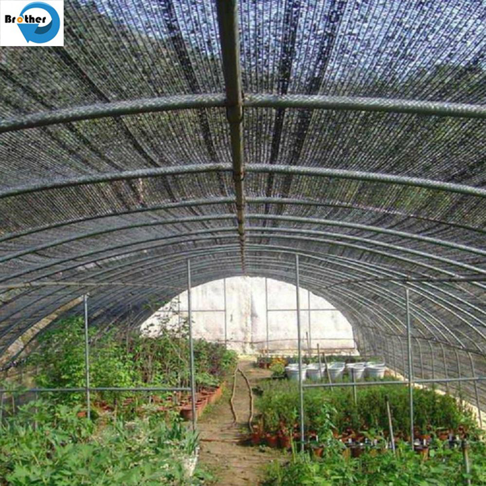 Hot Selling Black Shade Net Sun for Green House Agriculture Shading Rate 15%-90% Virgin Material HDPE