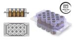 Transparent Blister Vacuum Formed Tray for Medical Vials - Secure Ampoule