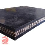 NN350 Multi Ply Textile Conveyor Belt