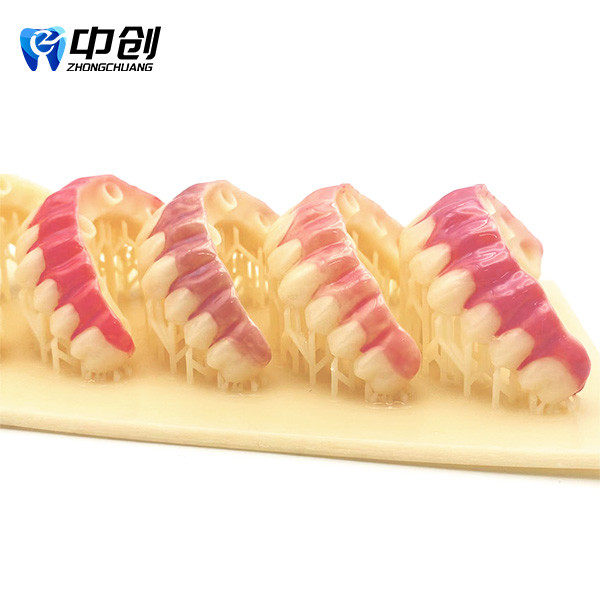 Light-cured Gum Barrier Resin Micro-mixed Formula Ensures Excellent Strength