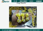 DRD-100/DRD-300 Semi wet Pet dog treats / Dog dental chews food extruder machine
