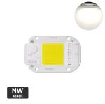 20W Warm White LED Module