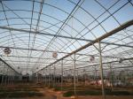 4.0-8.0M Height Agriculture Multi Span Plastic Film Greenhouse For Tomato