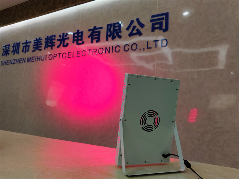 400W Led Portable Red Light Therapy Device Stand, Light Therapy Panel for Pain Relief